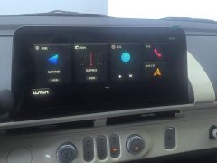Changan Lumin 2023 205km Xiangqin Edition - ფოტო 13