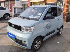 Wuling Hongguang MINIEV 2020 Zizai Trim Ternary Lithium - ფოტო 1