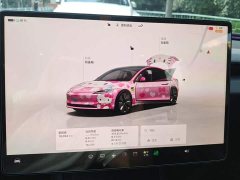 Tesla Model 3 Rear-Wheel Drive - ფოტო 14