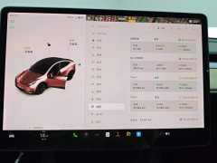 Tesla Model Y Standard Range RWD - ფოტო 13