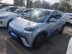 BYD Seagull Glory Edition 305km Freedom Version - ფოტო 1
