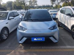 BYD Seagull Glory Edition 305km Freedom Version - ფოტო 2