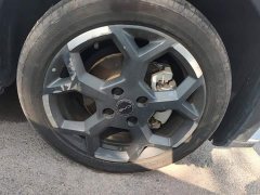BYD Seagull Glory Edition 305km Freedom Version - ფოტო 6