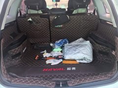 Haval M6 PLUS 1.5T DCT Luxury Smart Connected Edition - ფოტო 4