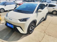 BYD Seagull Glory Edition 305km Freedom Version - ფოტო 1