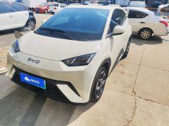 BYD Seagull Glory Edition 305km Freedom Version - ფოტო 2