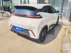 BYD Seagull Glory Edition 305km Freedom Version - ფოტო 3