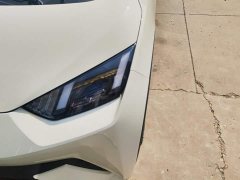 BYD Seagull Glory Edition 305km Freedom Version - ფოტო 5