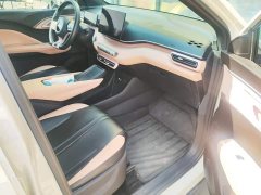 BYD Seagull Glory Edition 305km Freedom Version - ფოტო 8