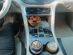 BYD Song Plus New Energy EV Glorious Edition 520km Luxury - ფოტო 16