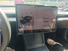 Tesla Model 3 Long Range All-Wheel Drive - ფოტო 7