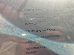 Tesla Model 3 Long Range All-Wheel Drive - ფოტო 8