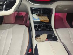 BYD Song Plus New Energy Champion Edition DM-i 110KM Flagship Plus - ფოტო 16