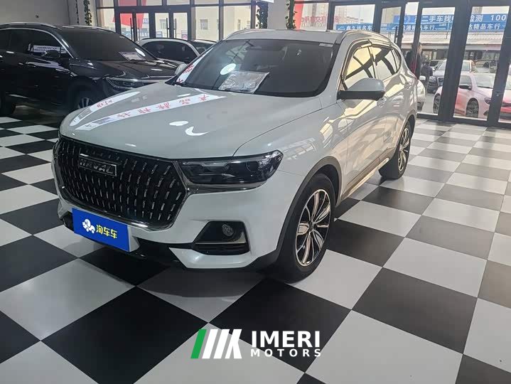 Haval H6 2023 National Trend Edition 1.5T Automatic Champion Version - ავტომობილი ჩინეთიდან