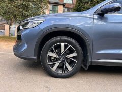 BYD Song Pro New Energy DM-i 71KM Glory Edition Pilot - ფოტო 10