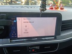 Volkswagen Lanxun 380TSI AWD R-Line Cruise Edition - ფოტო 13