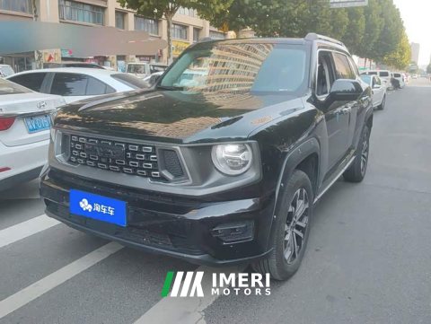 2023 Haval Big Dog PLUS 2.0T AWD Trendy Wilderness Plus - ავტომობილი ჩინეთიდან