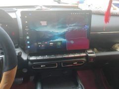 Haval Big Dog PLUS 2.0T AWD Trendy Wilderness Plus - ფოტო 13
