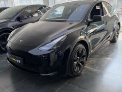 Tesla Model Y Rear-Wheel Drive - ფოტო 1
