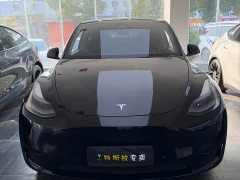 Tesla Model Y Rear-Wheel Drive - ფოტო 2