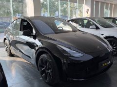Tesla Model Y Rear-Wheel Drive - ფოტო 3