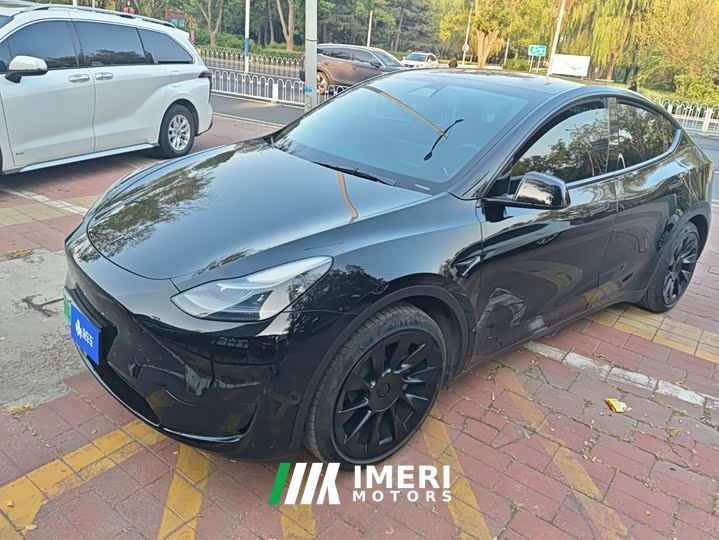 Tesla Model Y Rear-Wheel Drive