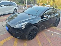 Tesla Model Y Rear-Wheel Drive - ფოტო 1
