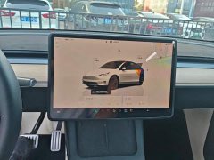 Tesla Model Y Rear-Wheel Drive - ფოტო 12