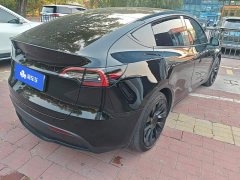 Tesla Model Y Rear-Wheel Drive - ფოტო 2