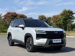 Wuling Starlight 560 New Energy Plug-in Hybrid 125km Luxury - ფოტო 3