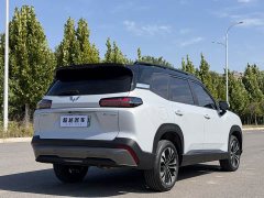 Wuling Starlight 560 New Energy Plug-in Hybrid 125km Luxury - ფოტო 7