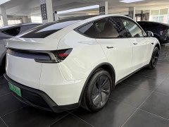 Tesla Model Y Rear-Wheel Drive - ფოტო 10