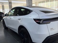 Tesla Model Y Rear-Wheel Drive - ფოტო 9