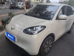 Wuling Binguo 2023 333km Quick Enjoy Edition - ფოტო 1
