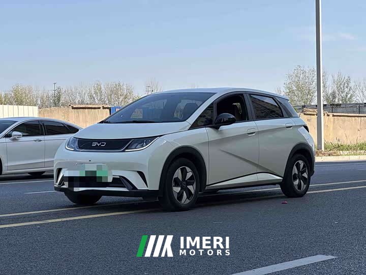 BYD Dolphin 2025 420km Freedom Edition - ავტომობილი ჩინეთიდან