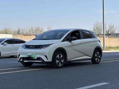 BYD Dolphin 2025 420km Freedom Edition - ფოტო 1