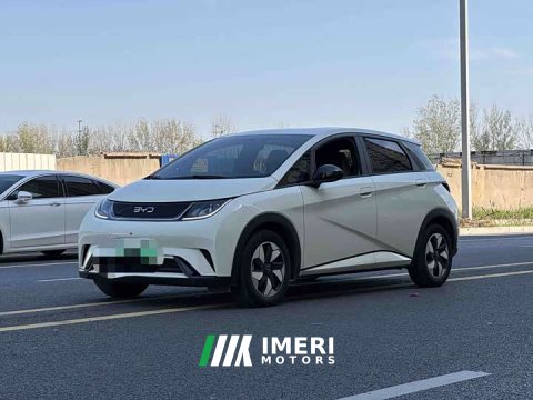 2026 BYD Dolphin 2025 420km Freedom Edition - ავტომობილი ჩინეთიდან