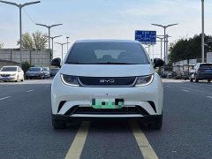 BYD Dolphin 2025 420km Freedom Edition - ფოტო 2