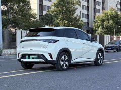 BYD Dolphin 2025 420km Freedom Edition - ფოტო 8