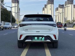 BYD Dolphin 2025 420km Freedom Edition - ფოტო 9