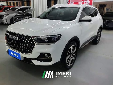 2025 Haval H6 2023 National Trend Edition 1.5T Automatic Champion Version - ავტომობილი ჩინეთიდან