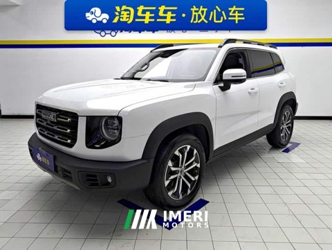 2021 Great Wall Dachshund 1.5T DCT Two-Wheel Drive Border Collie-Wangcai Edition - ავტომობილი ჩინეთიდან