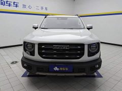 Great Wall Dachshund 1.5T DCT Two-Wheel Drive Border Collie-Wangcai Edition - ფოტო 2