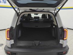 Great Wall Dachshund 1.5T DCT Two-Wheel Drive Border Collie-Wangcai Edition - ფოტო 4