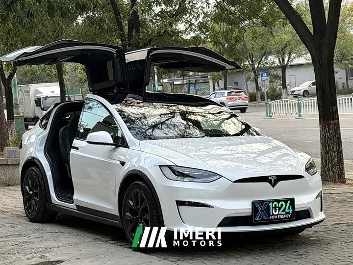 Tesla Model X Dual Motor All-Wheel Drive - ავტომობილი ჩინეთიდან
