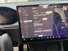 Tesla Model X Dual Motor All-Wheel Drive - ფოტო 19
