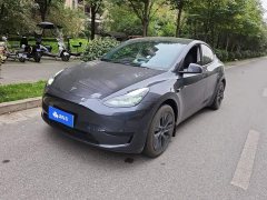 Tesla Model Y Rear-Wheel Drive - ფოტო 1