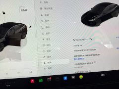 Tesla Model 3 Rear-Wheel Drive - ფოტო 6