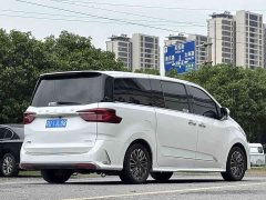 Maxus G20 2.0T Edition - ფოტო 2