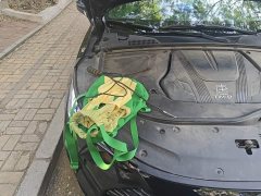 BYD Tang New Energy Facelift DM-p War God Edition - ფოტო 20